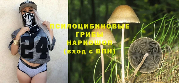 спайс Белокуриха