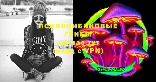 спайс Белокуриха