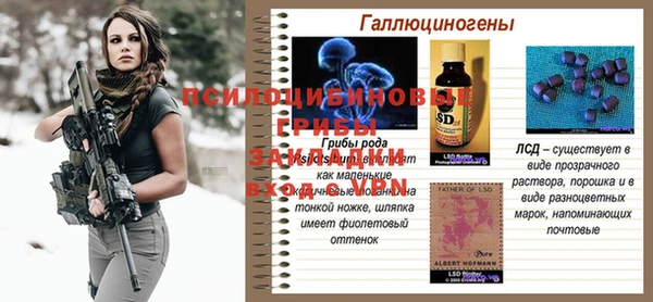 ешки Беломорск