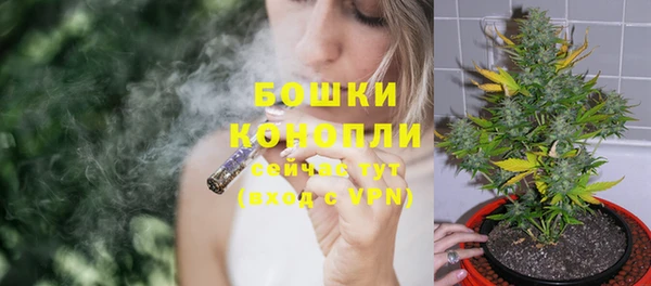 гидра Белоозёрский