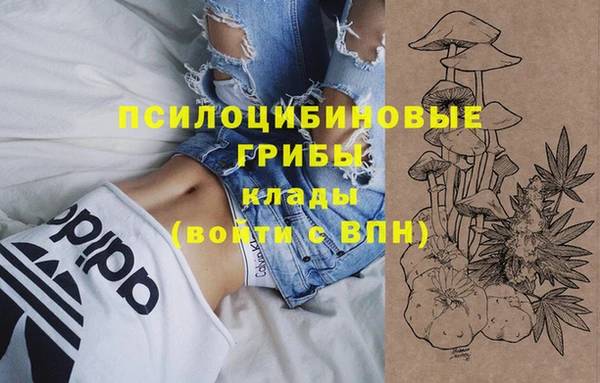 спайс Белокуриха