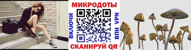 Галлюциногенные грибы ЛСД Власиха