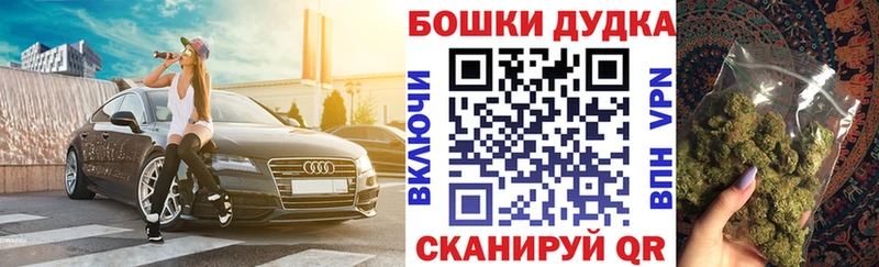 Канабис планчик  нарко площадка состав  Власиха 